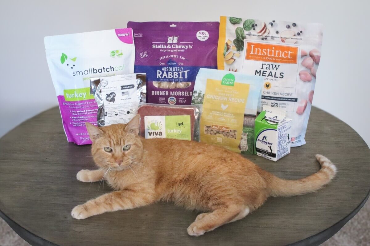 7 Best Raw Cat Foods