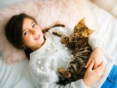 A Bengal cat in the bed room with child girl