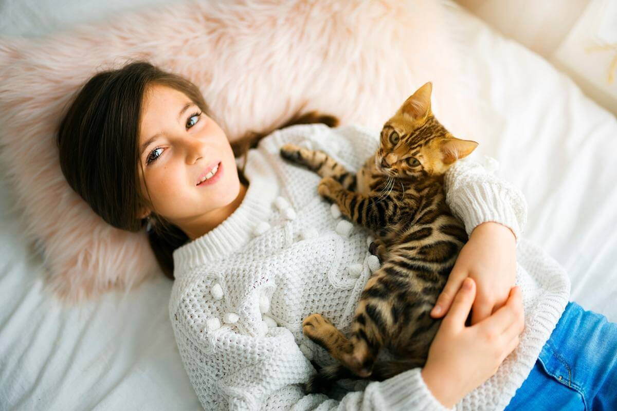 A Bengal cat in the bed room with child girl