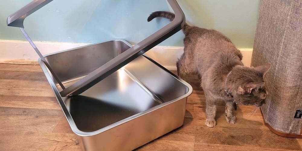 best litter box for multiple cats