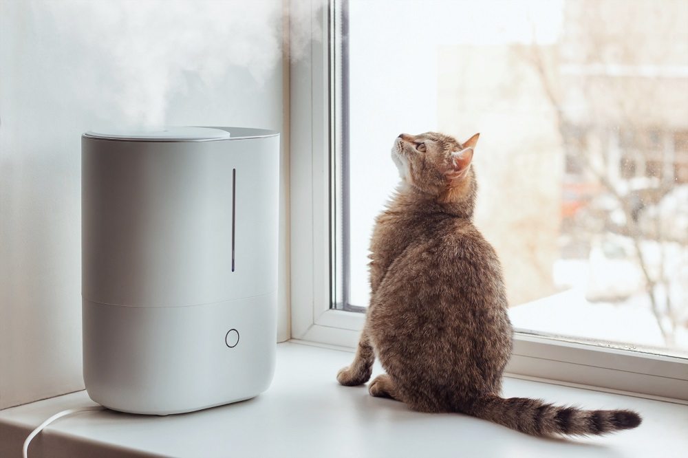 A young tabby cat sits on the windowsill and looks at the steam from the white air humidifier.