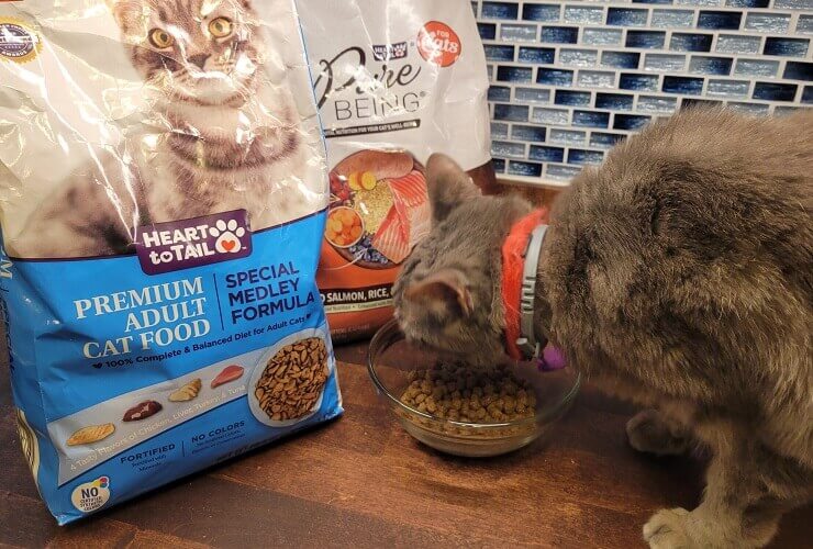 cat eating Aldi Cat Food products