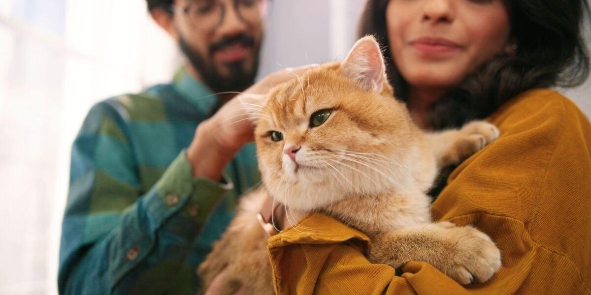 An Indian couple stands with their short-haired orange cat