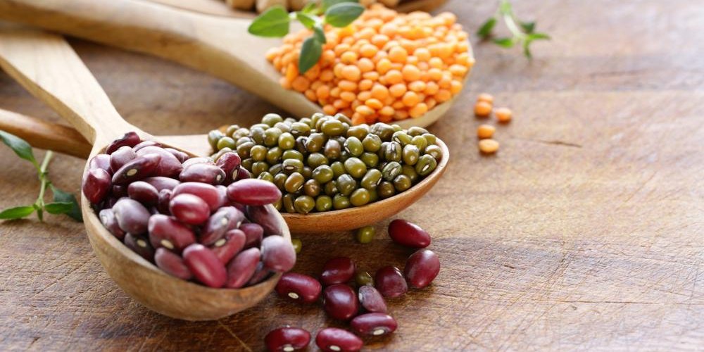 Beans, lentils, and chickpeas on separate wooden spoons