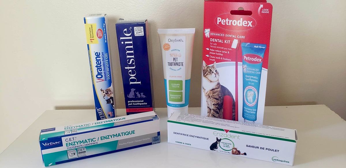 lineup of 6 cat toothpastes