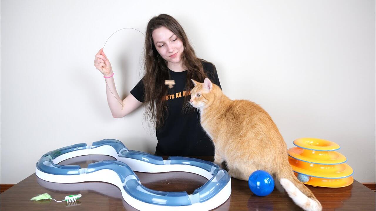 best cat toys