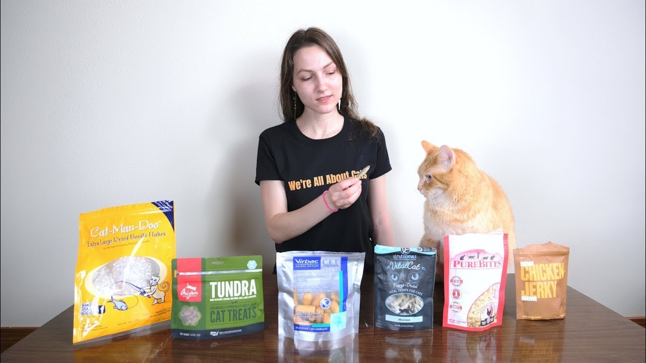 best cat treats