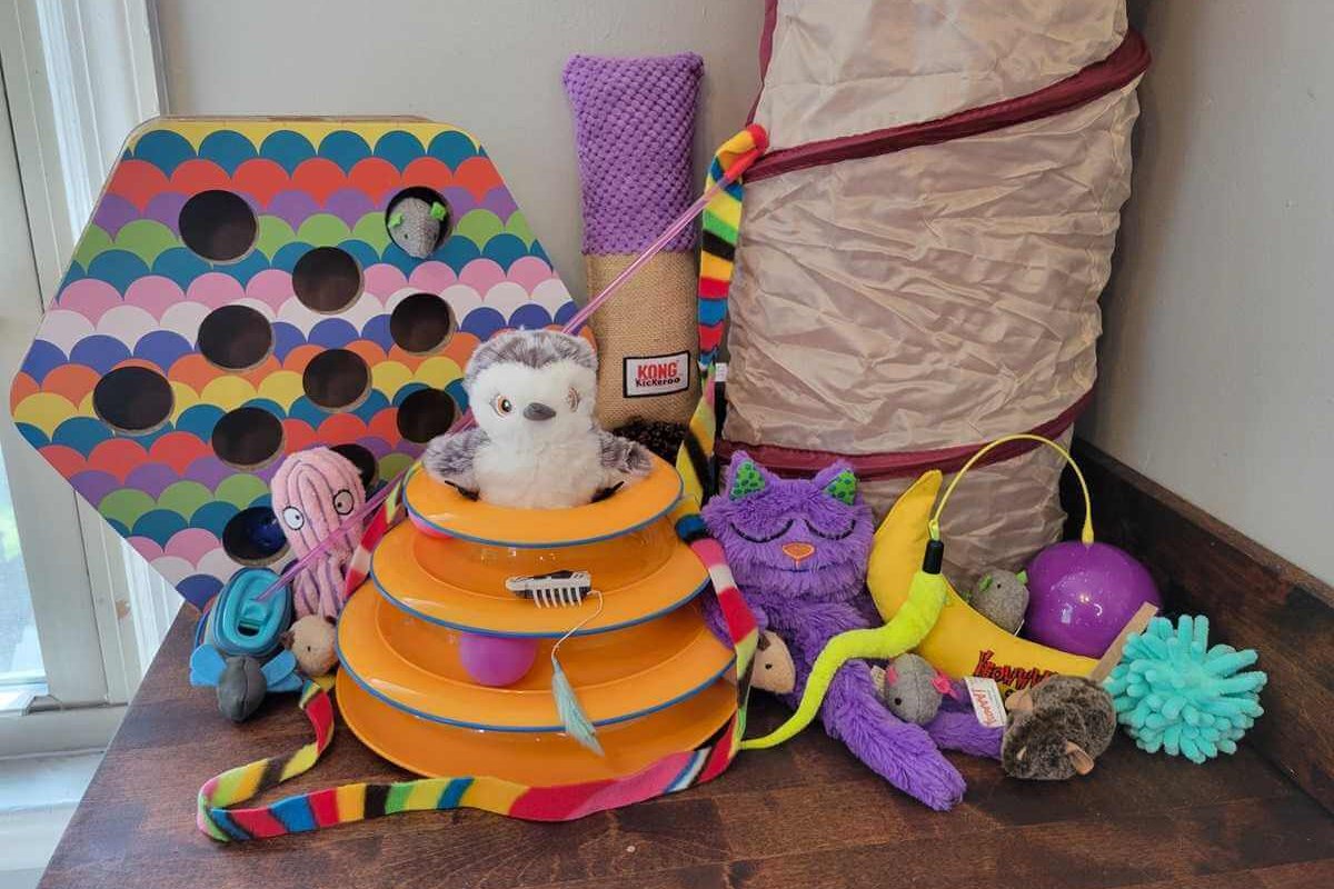 A collection of several brightly colored cat toys, such as ribbons, play mice, and crinkle tunnels.