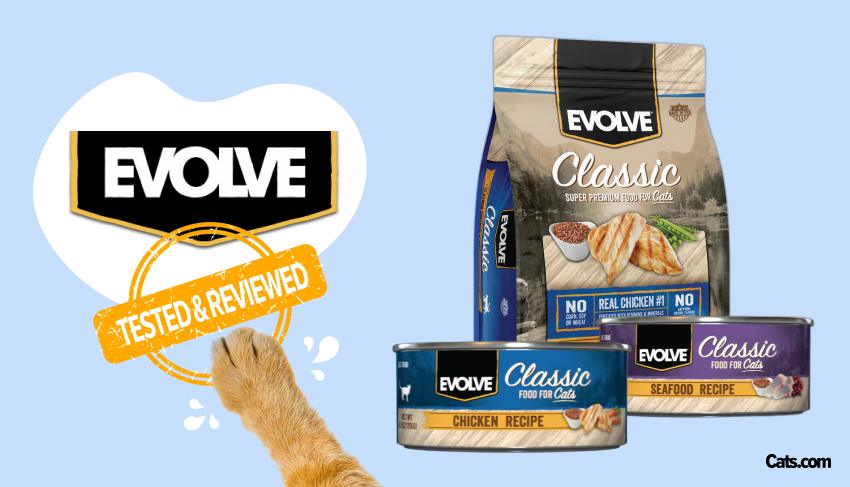 Brand Review - evolve