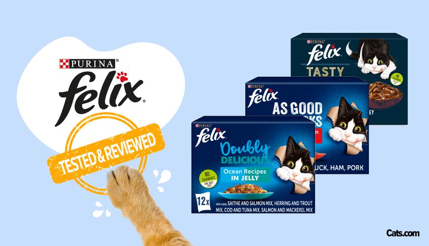 Brand Review - Felix