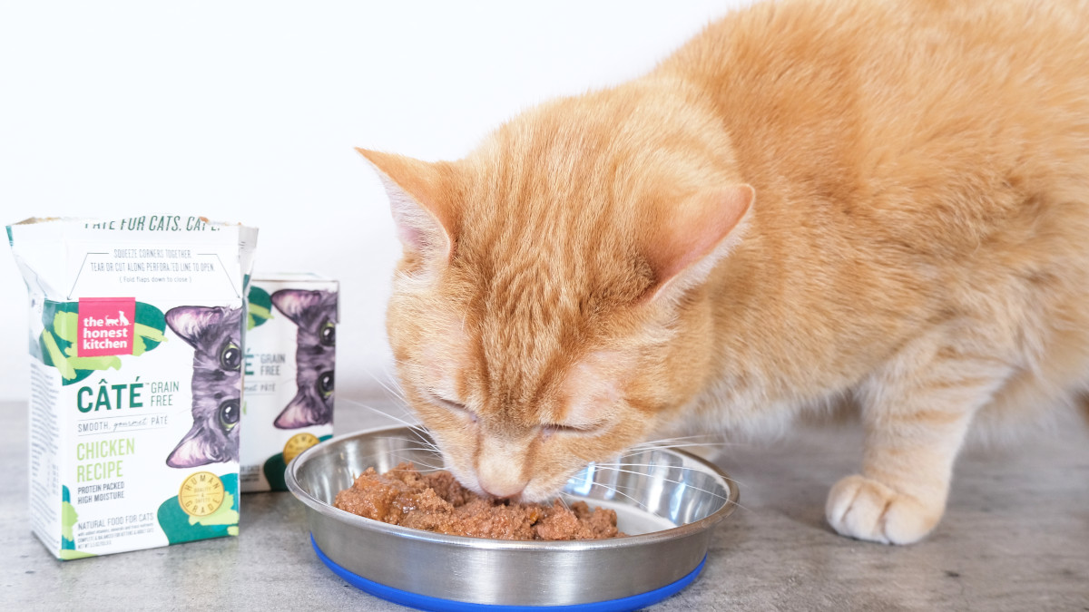 Cat Food Brands Reviews (A-Z)