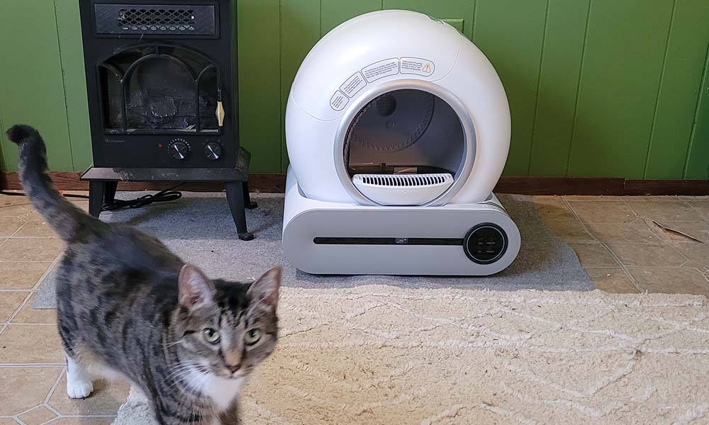 Tabby cat standing near an automatic litter box.