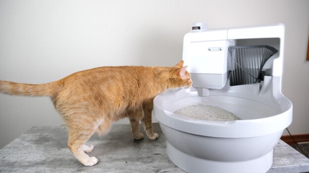 Catgenie Self Washing Self Flushing Litter Box feature image