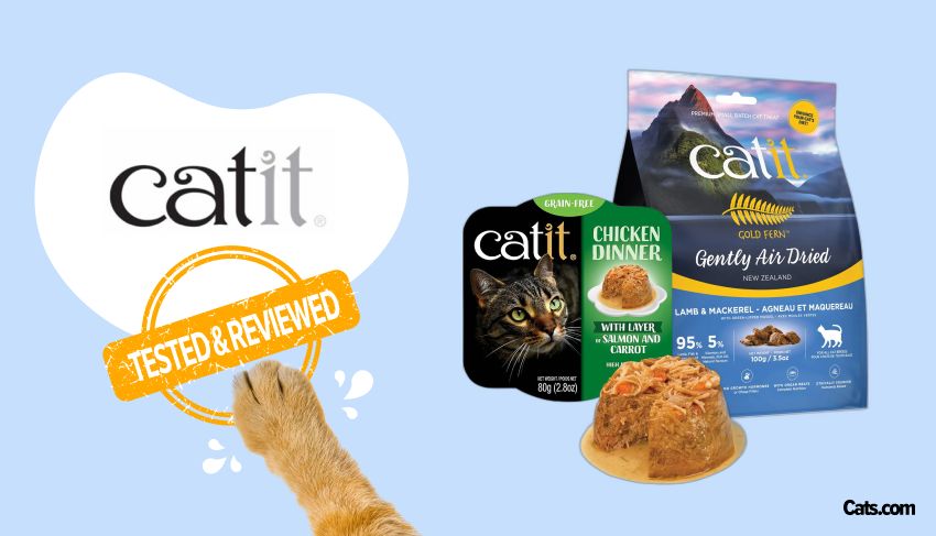 Catit Cat Food Brand Review