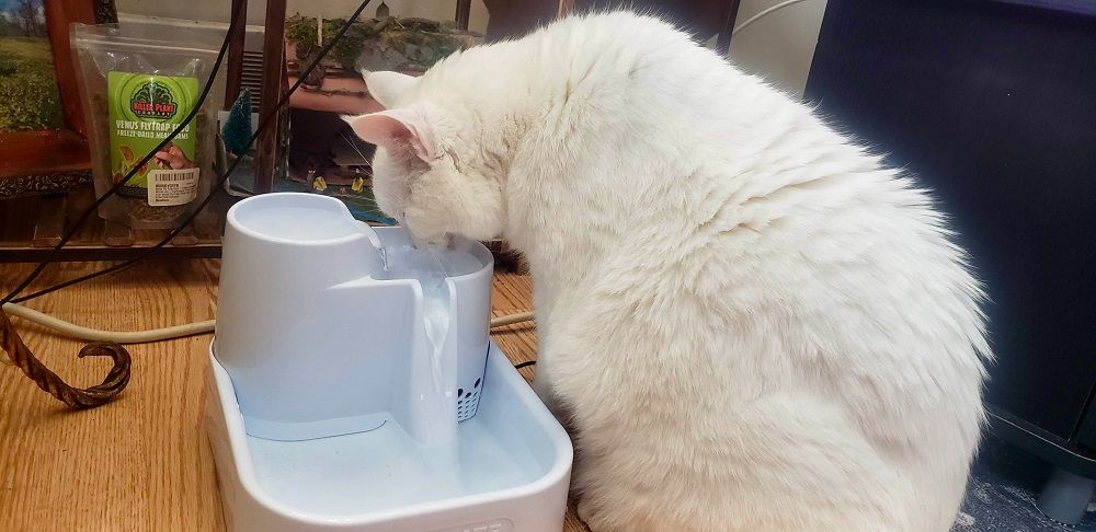 Cat Mate Pet Fountain