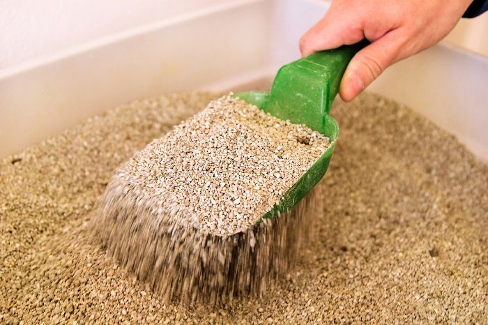 An image depicting a person engaged in the task of cleaning a cat's litter box. The scene highlights responsible pet care and hygiene practices, emphasizing the importance of regular cleaning to provide a comfortable and odor-free environment for the cat.