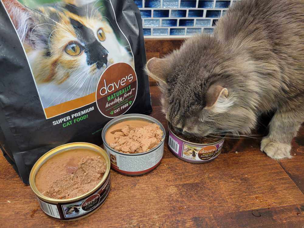 Dave’s Pet Food cat food