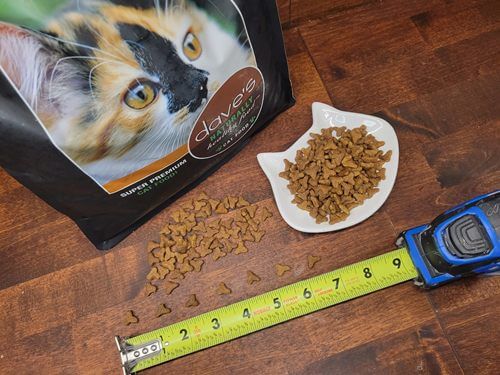 Dave’s Pet Food Naturally Healthy Adult Dry Cat Food