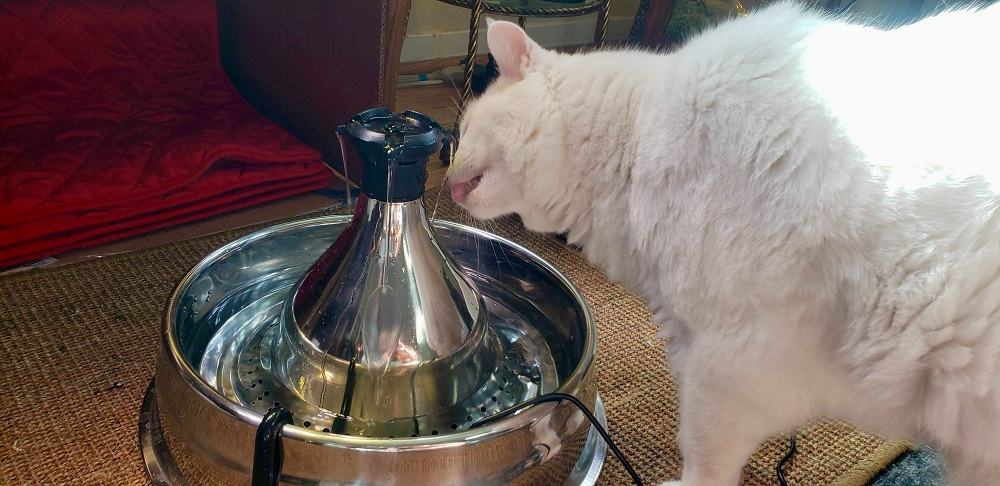 PetSafe Drinkwell 360 Stainless Steel Cat & Dog Water Fountain