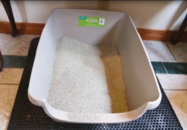 Frisco Sifting Cat Litter Box 1