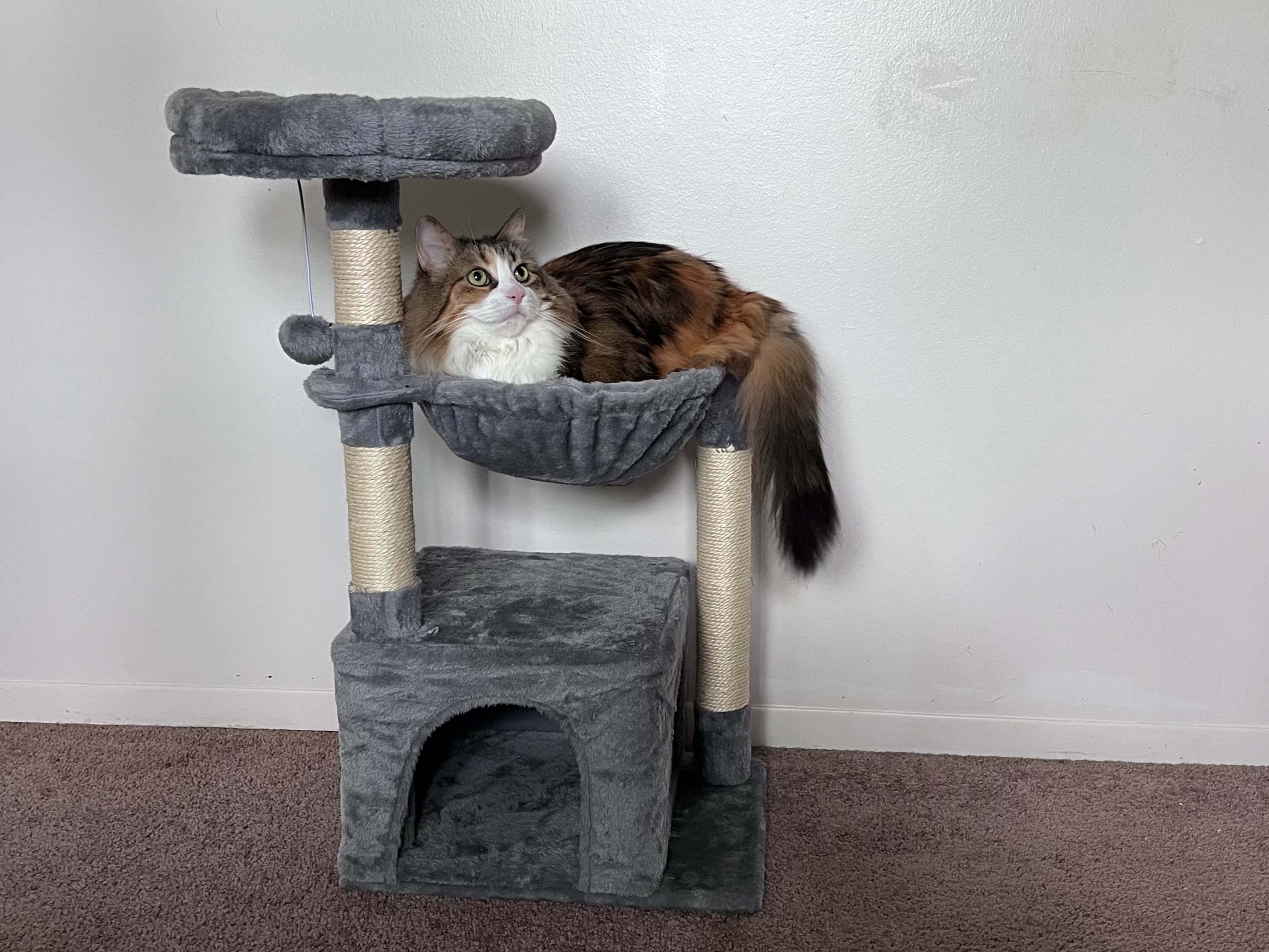 HOOBRO Small Cat Tree