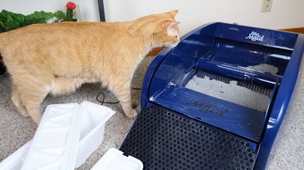 LitterMaid automatic litter box