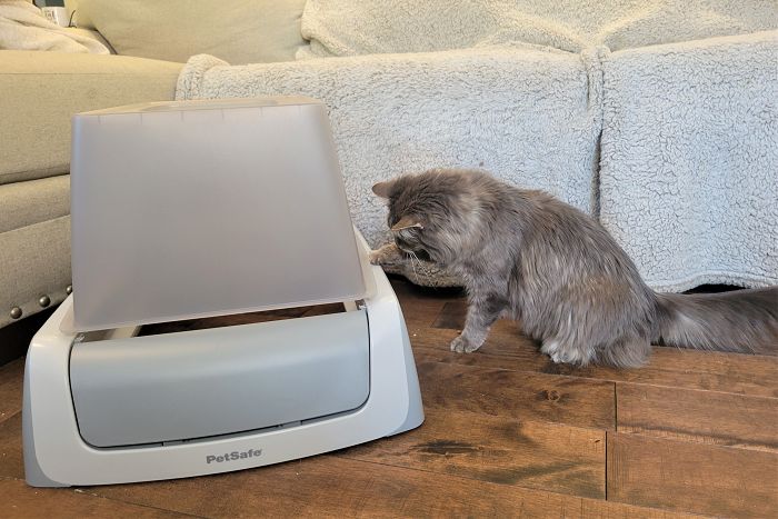 PetSafe ScoopFree Complete Plus Self-Cleaning Litter Box