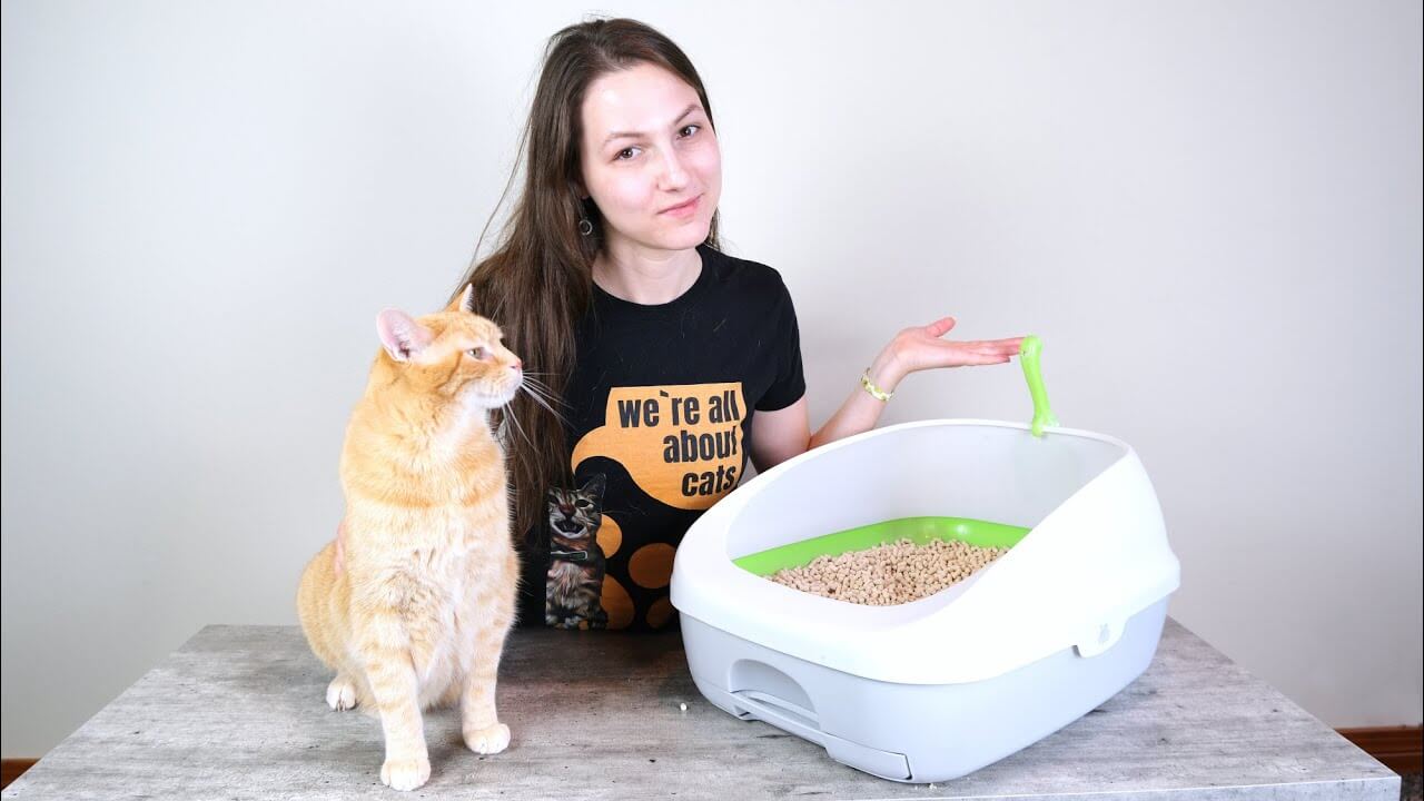 best sifting litter box