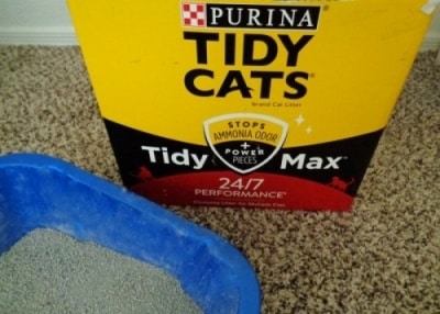 tidy cats