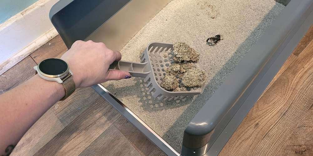 using an iPrimio stainless steel litter box