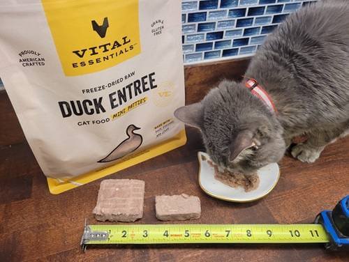 Vital Essentials Freeze-Dried Raw Duck Mini Patties