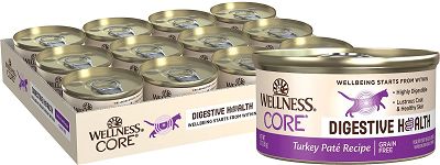 Wellness CORE Digestive Health Turkey Pate Grain-Free Wet Cat Food