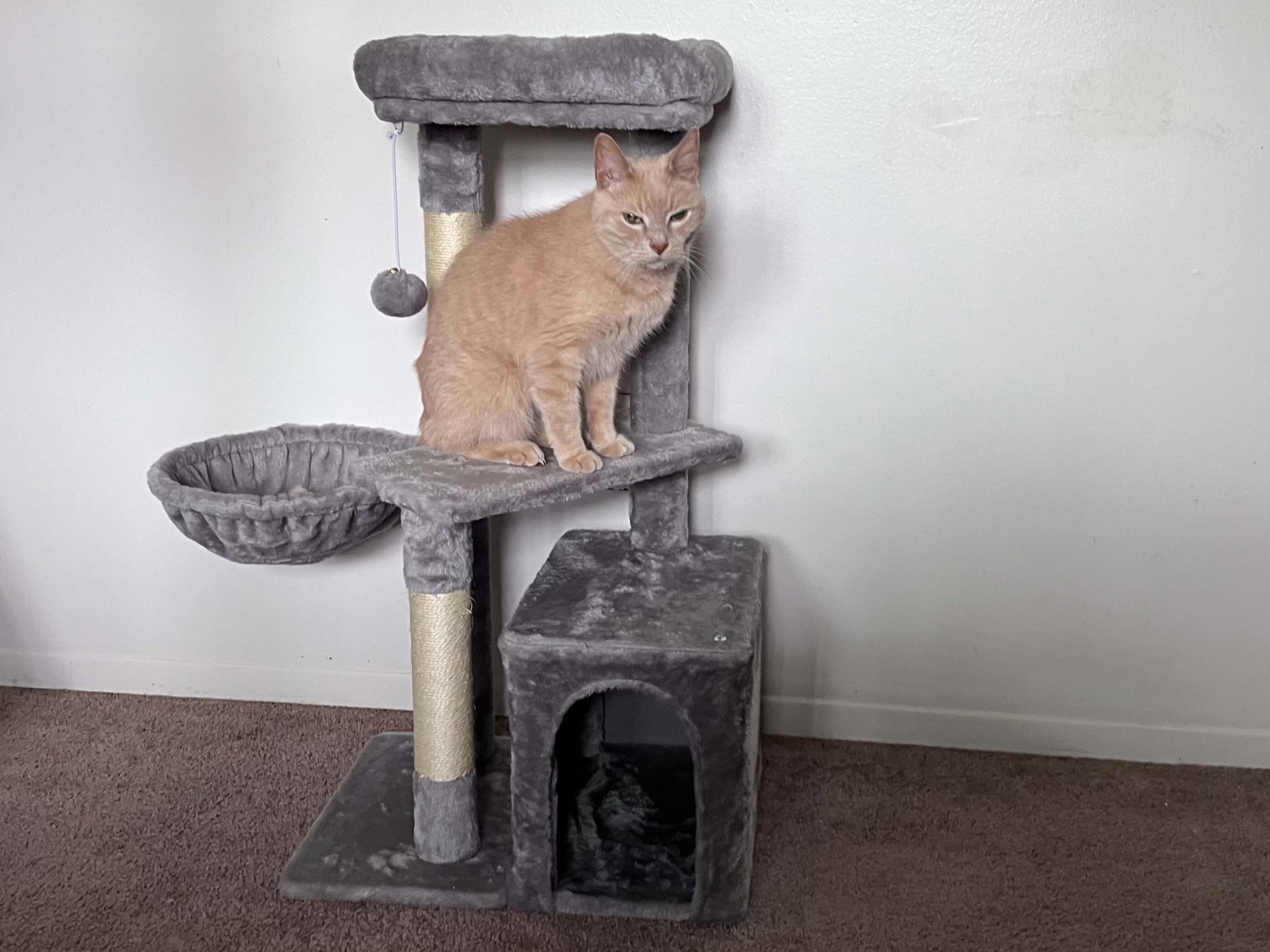 Yaheetech 34.5-in Plush Cover Cat Tree