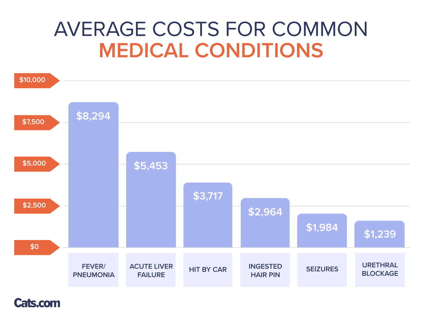 How much does it cost to own a cat?