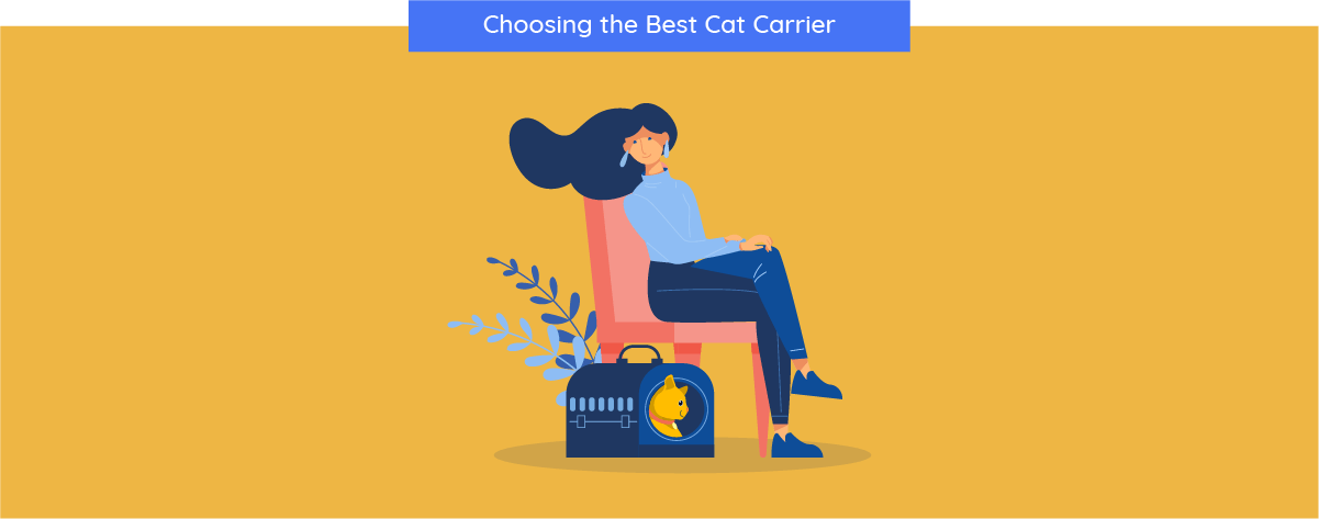 choosing carrier