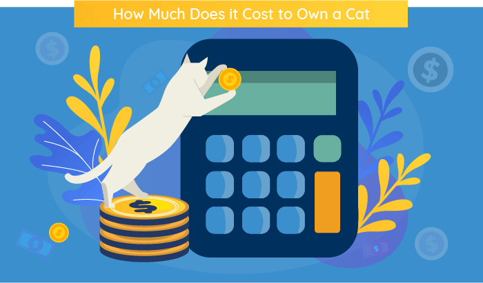 cost of owning a cat