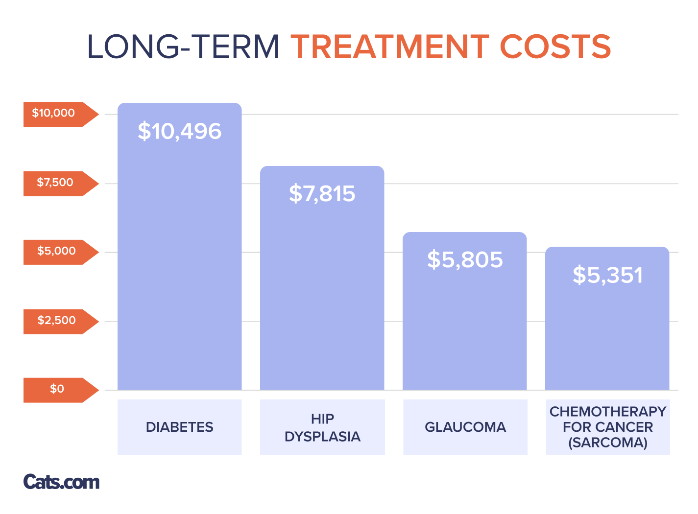 How much does it cost to own a cat?