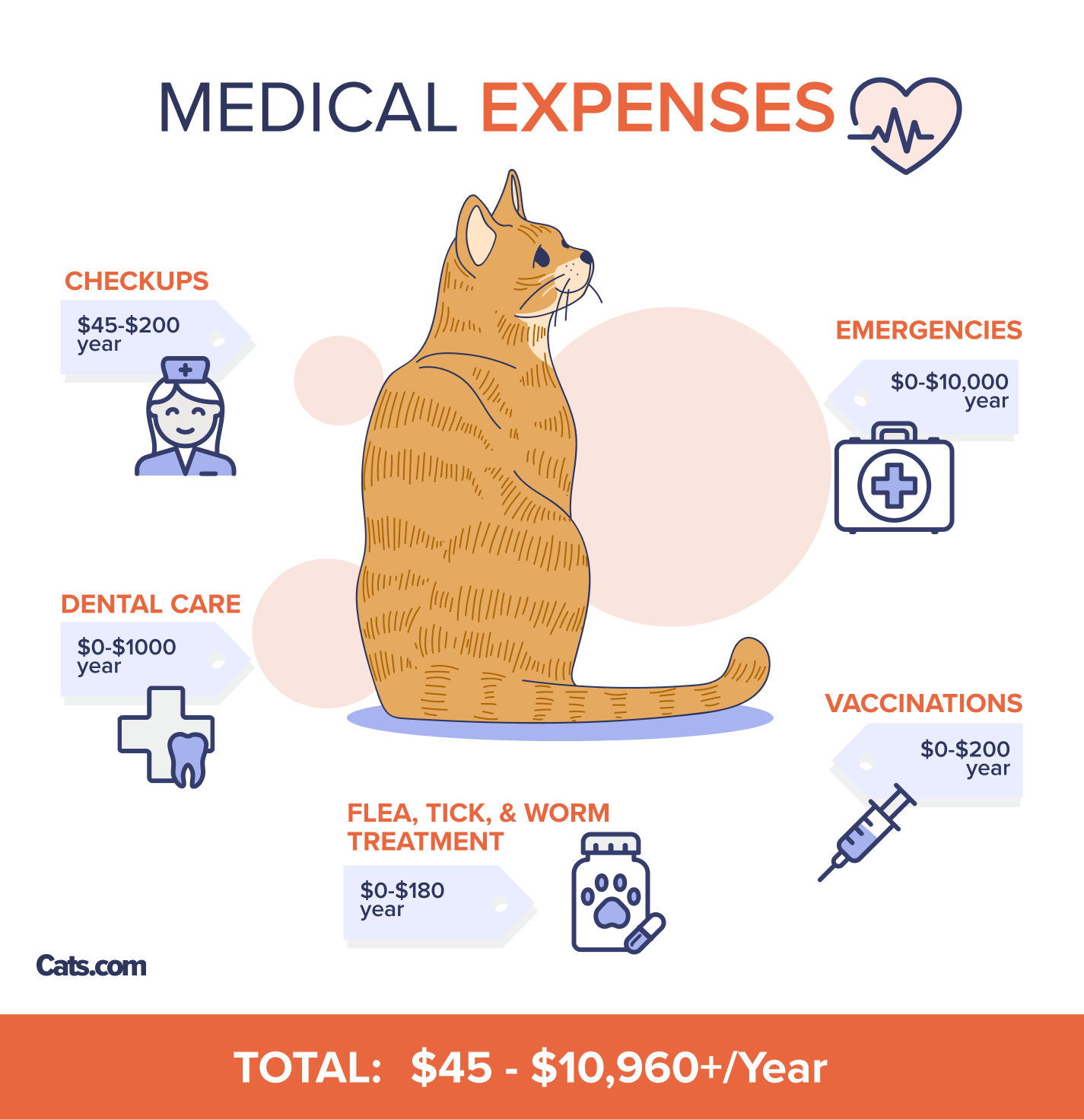 How much does it cost to own a cat?