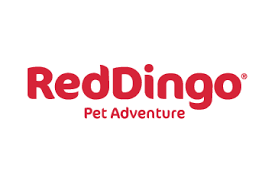 Red Dingo